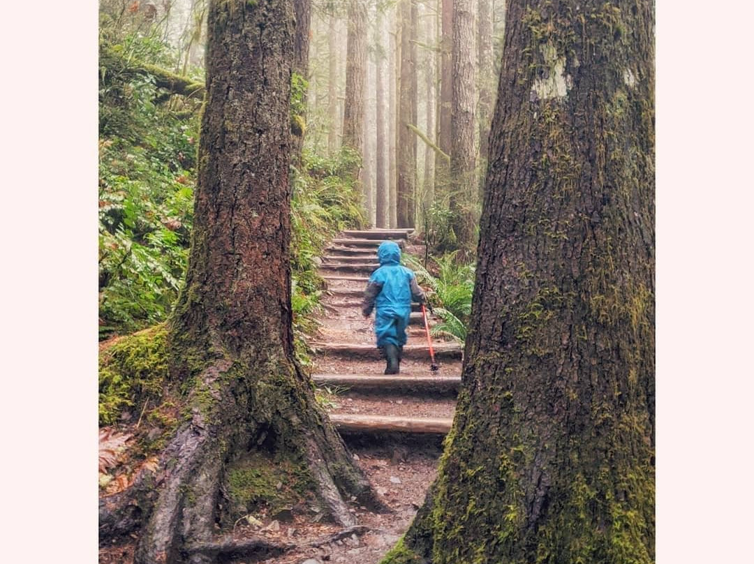 Tasmania I Drive-霍巴特必去景点