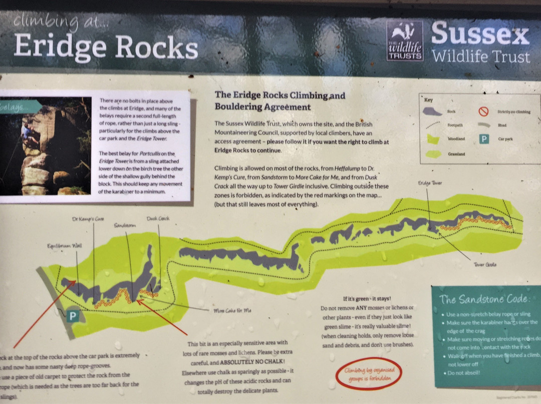 Eridge Rocks Nature Reserve景点图片