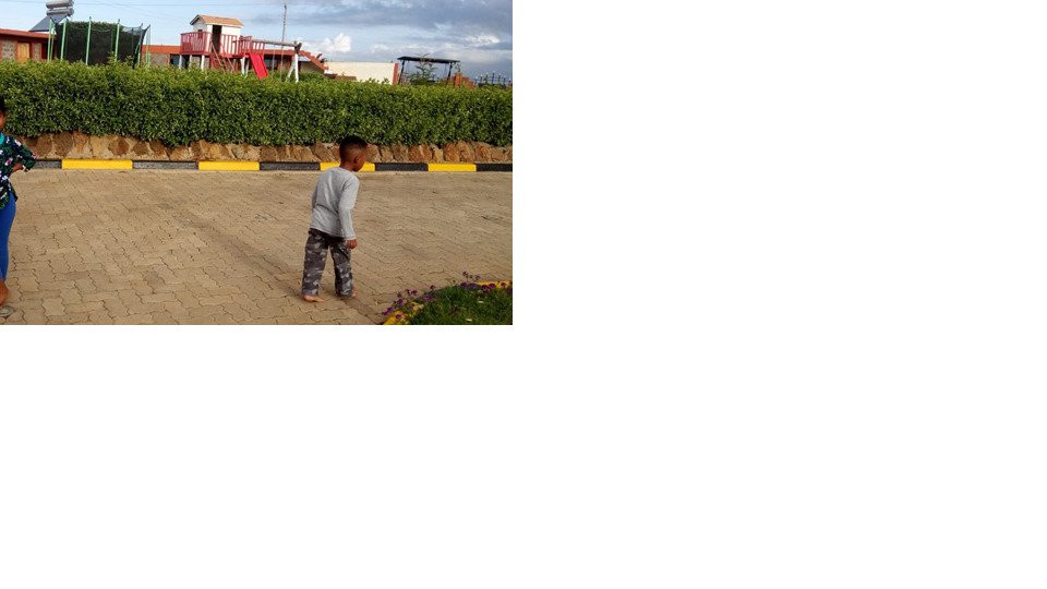 Regency Mount Kenya Hotel主图