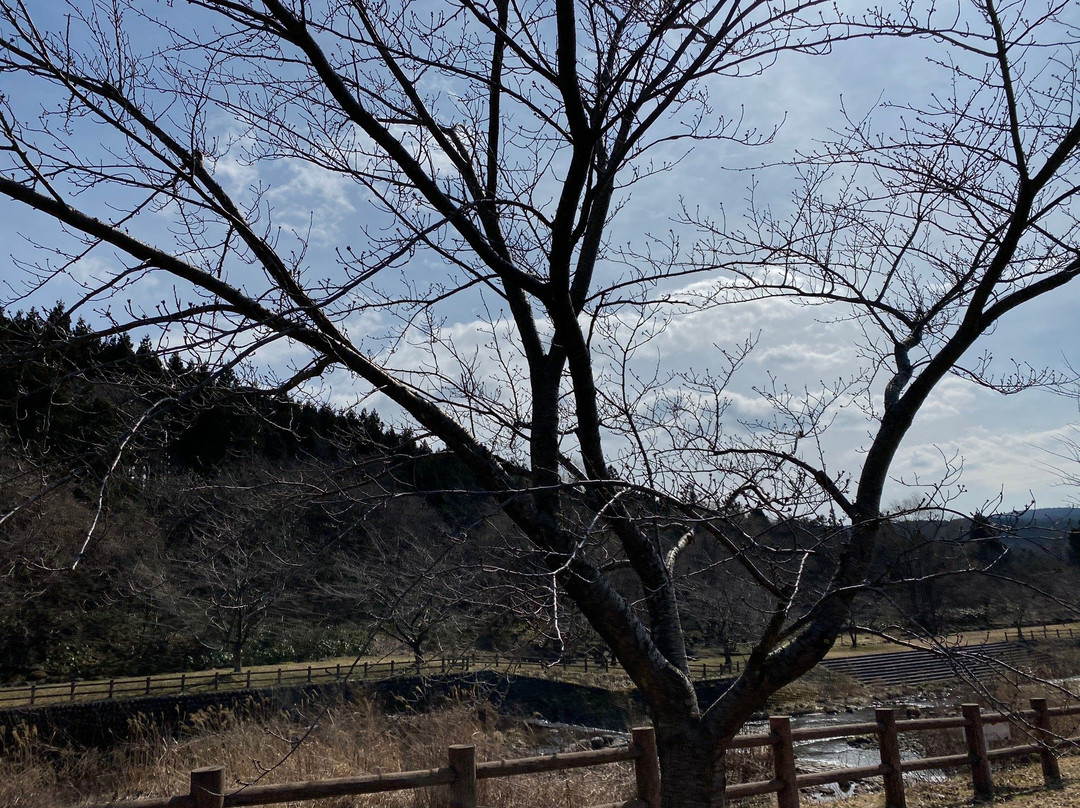 Nasogawa Kasen Park景点图片