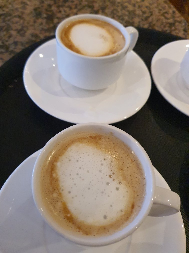 Hotel Galería-官方
