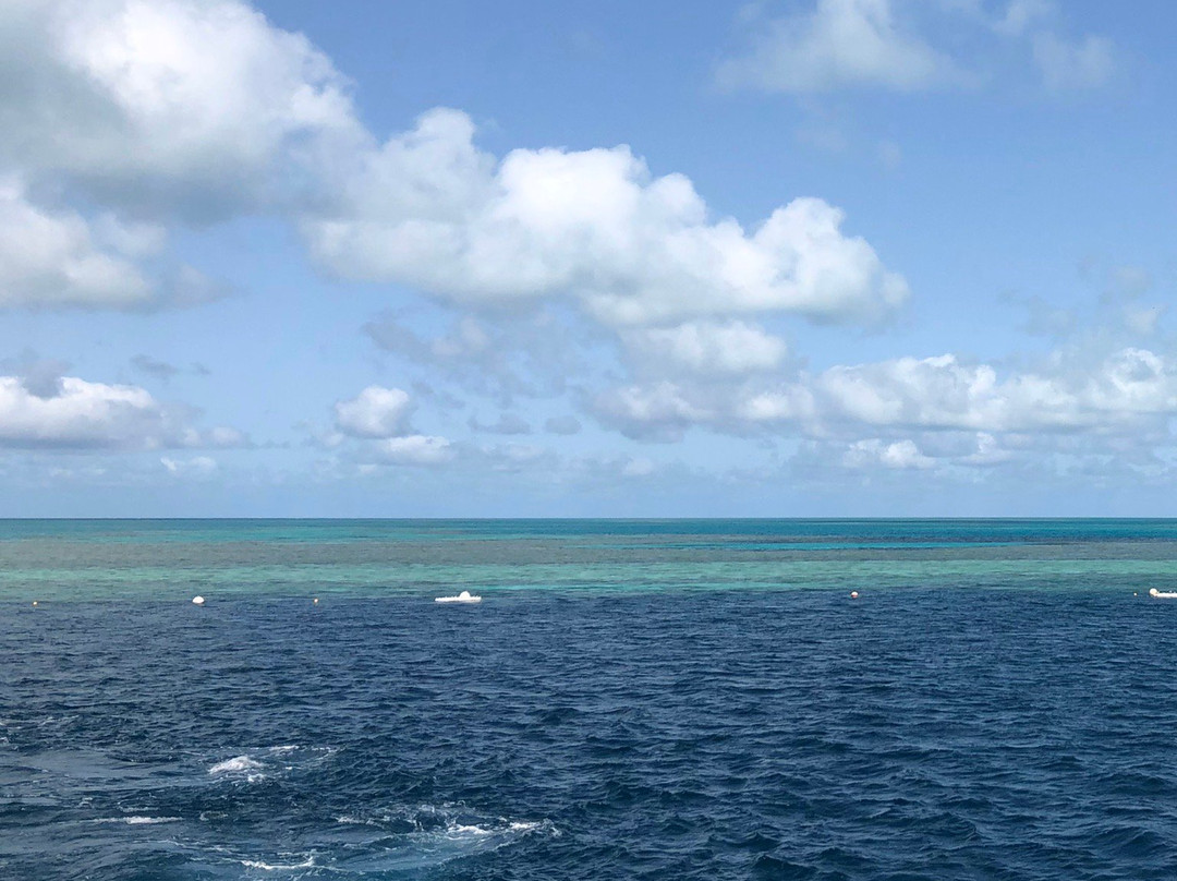大堡礁潜水艇景点图片