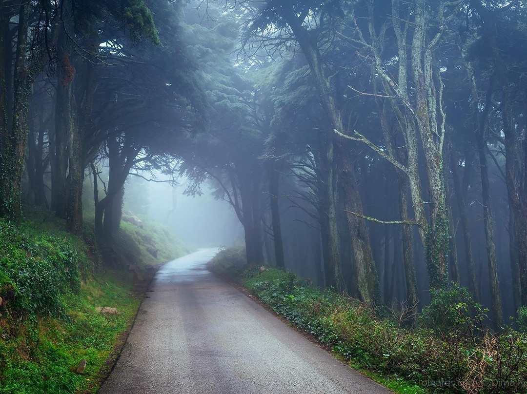 Moon Hill Tours & Services-辛特拉必去景点