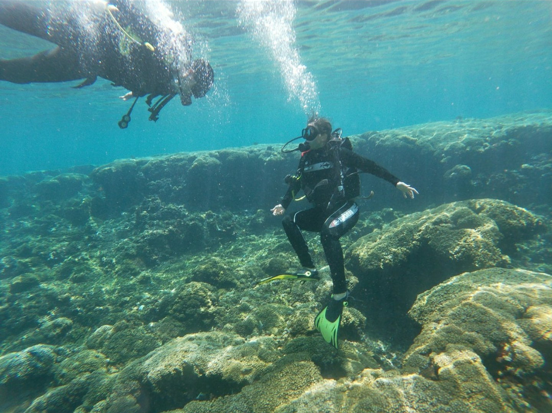 Scuba Diving Anfibios Huatulco景点图片