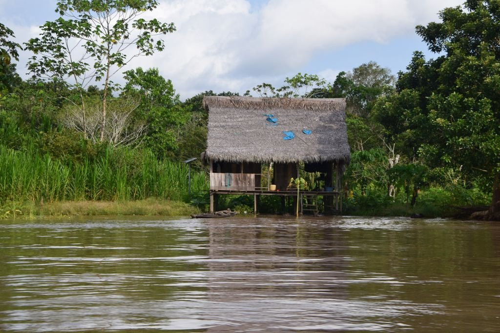 Area de Conservacion Regional Comunal Tamshiyacu Tahuayo景点图片