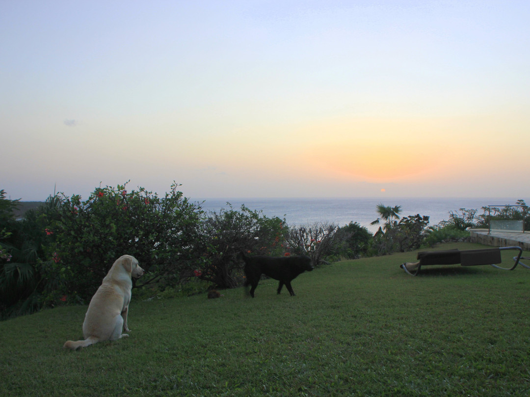 Villa Rayon Vert主图