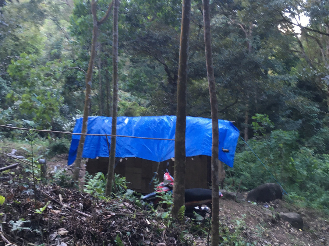 Gunung Nuang景点图片