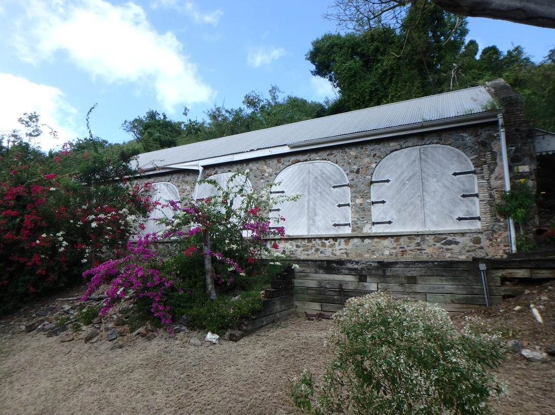 Estate Mount Washington-Frederiksted必去景点