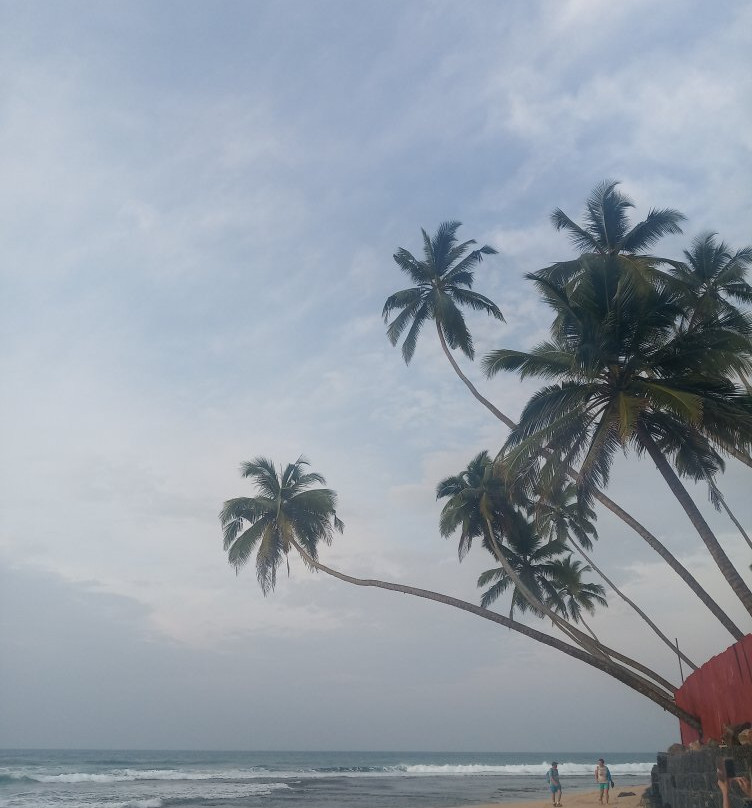 Mihiripenna Beach-乌纳瓦图纳必去景点