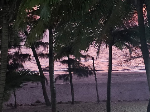 Rajanand Palace主图