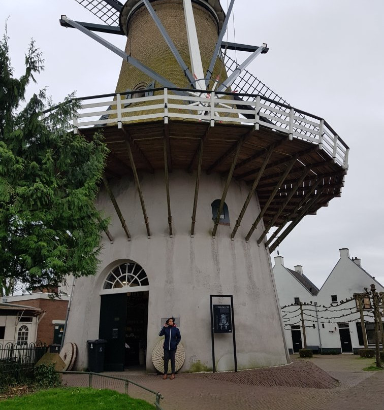 Molen Oog in 't Zeil 1869-Cothen必去景点
