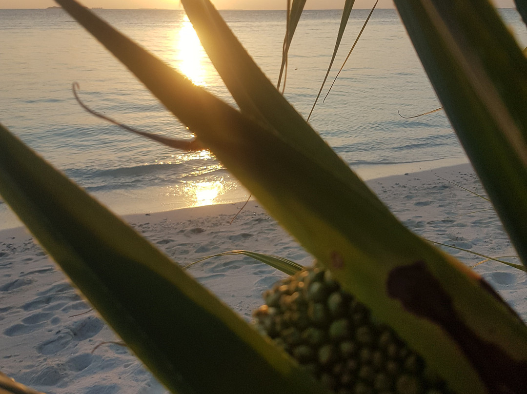 Islandii.com-胡鲁马累必去景点