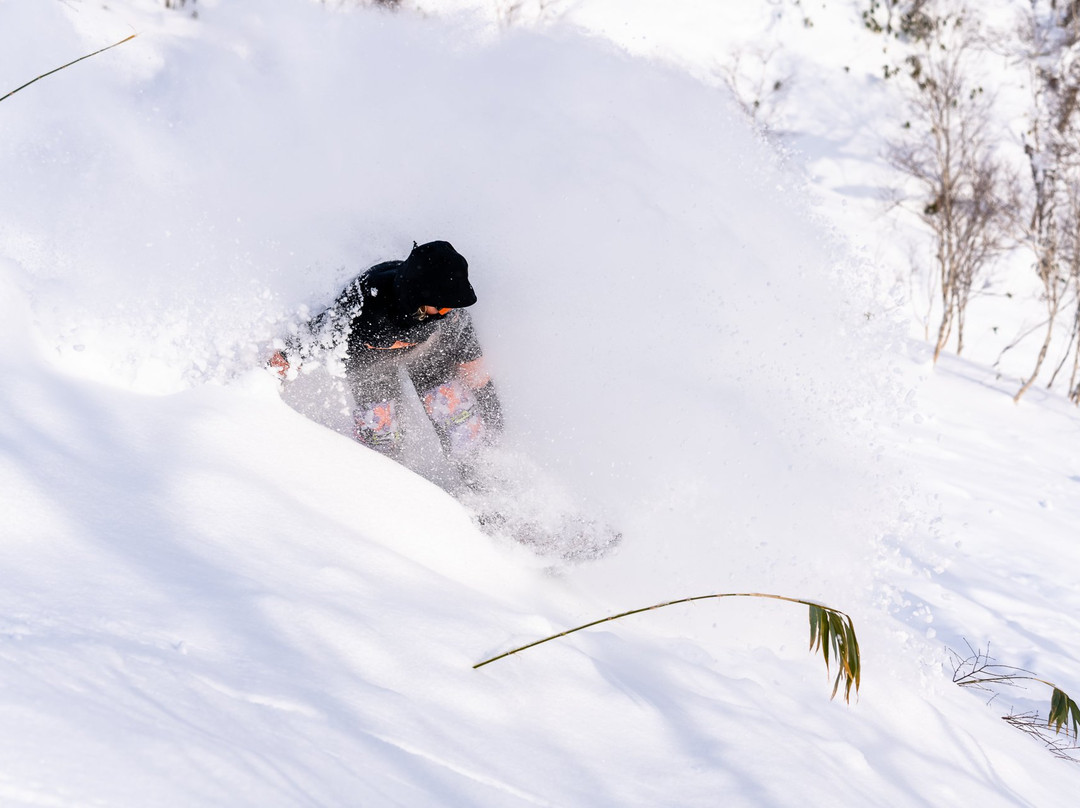 Niseko Moiwa Ski Resort景点图片