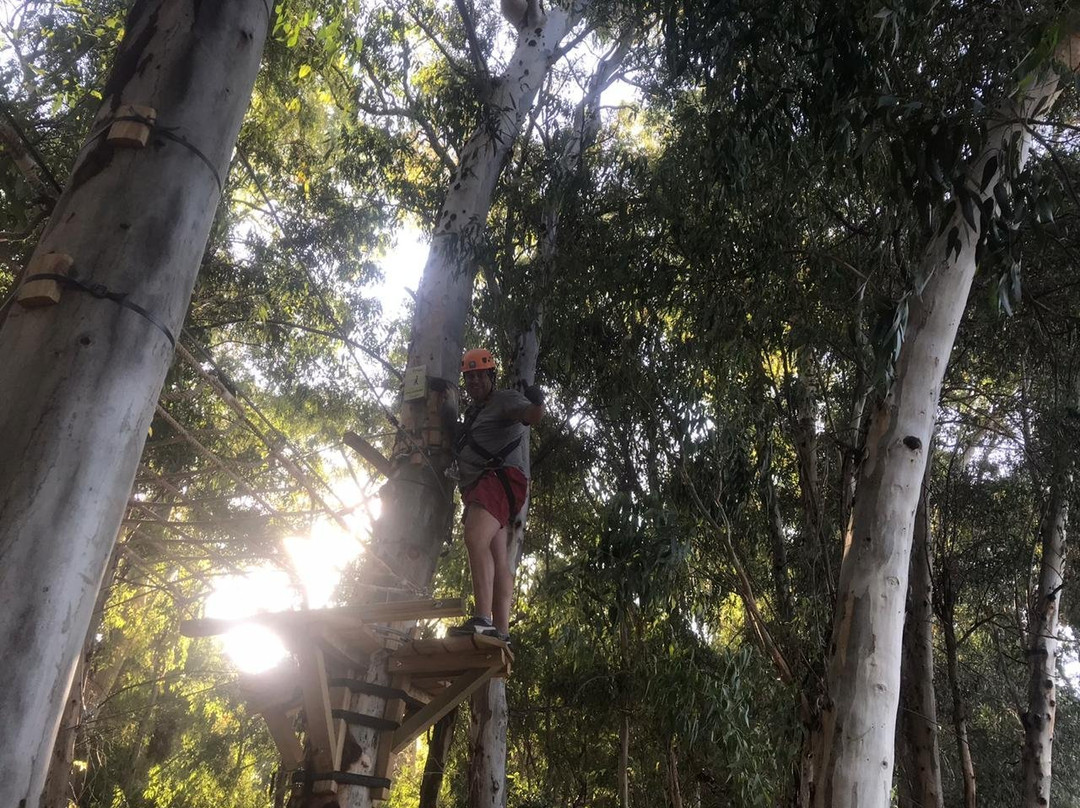 Bosque Aereo Euca-圣拉斐尔必去景点