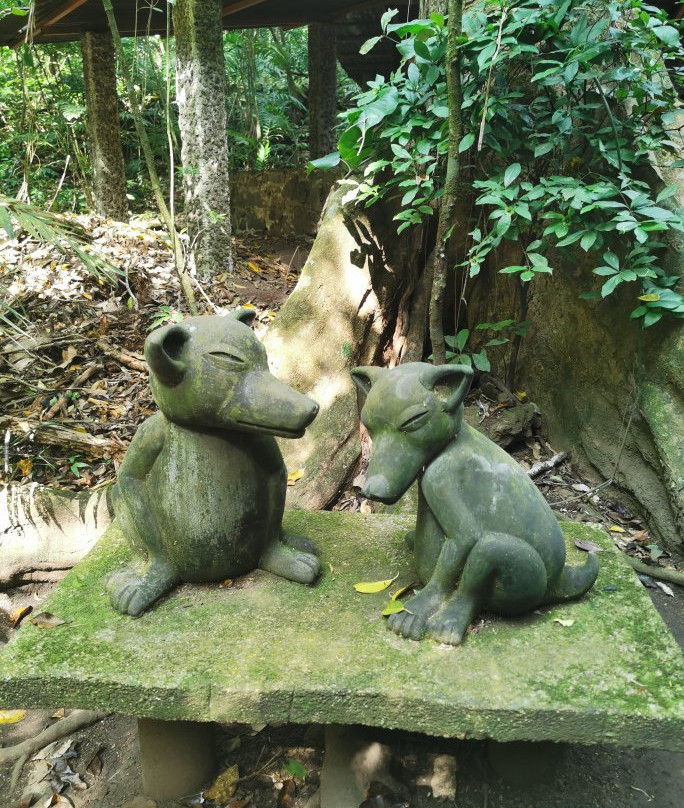 Nanciyaga景点图片