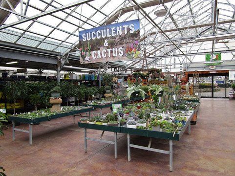 Green Village旅游攻略图片