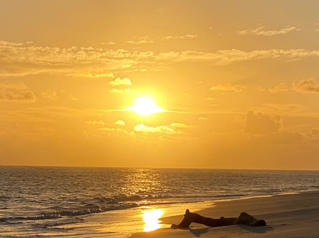 La Bougainvillea主图