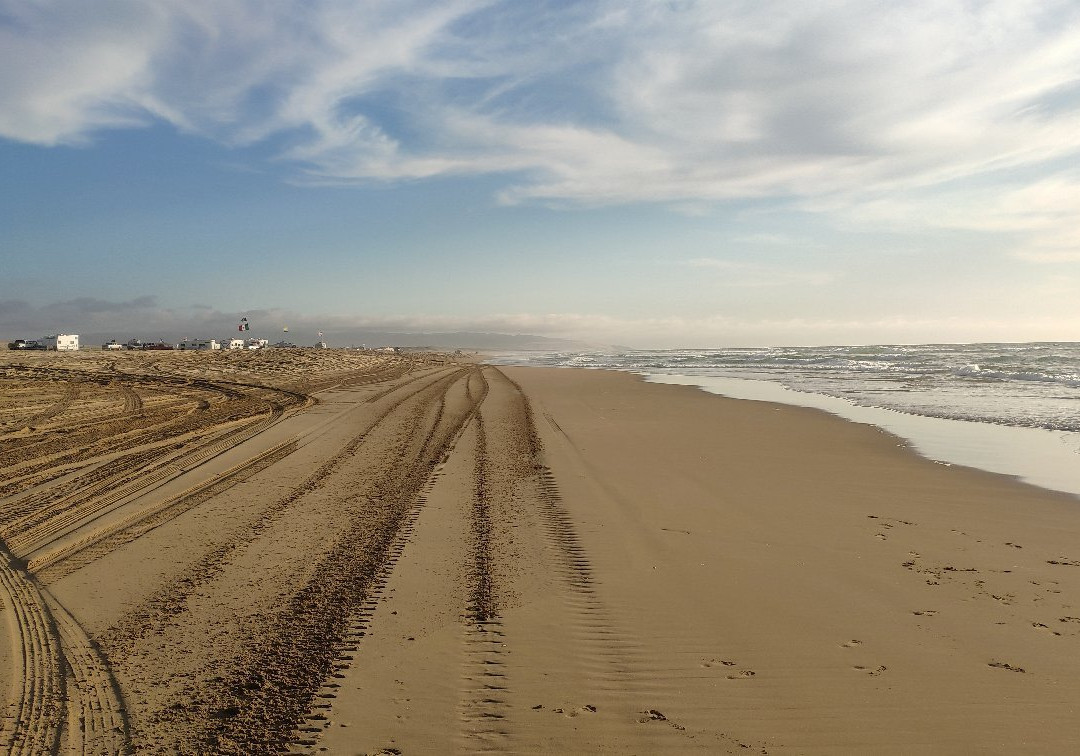 Pismo State Beach景点图片