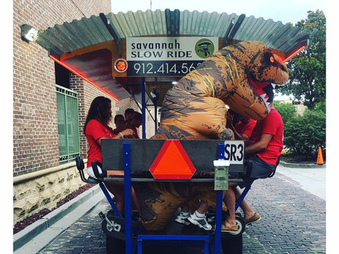 Savannah Slow Ride-萨凡纳必去景点