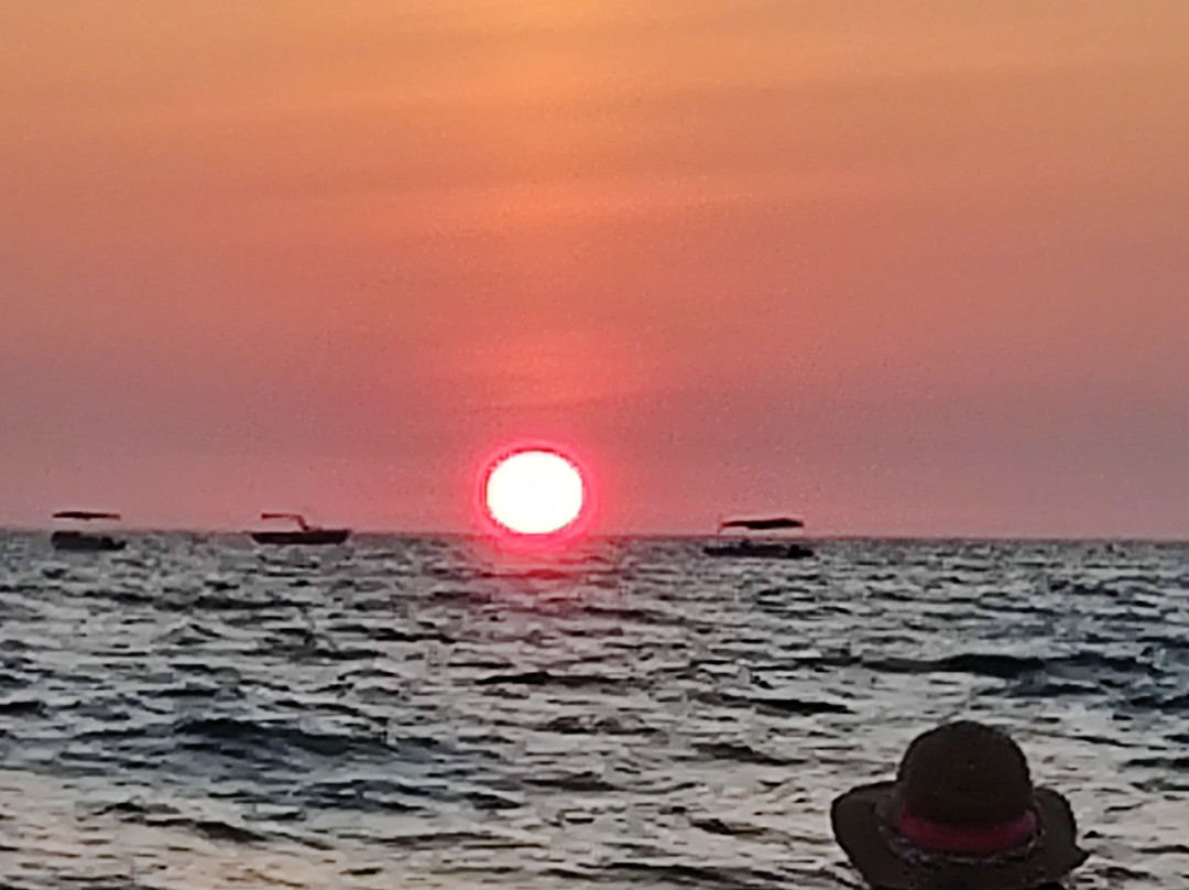 Club Mahindra Acacia Palms主图