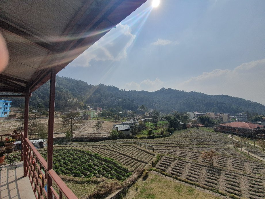 Laxmi's Bed And Breakfast主图