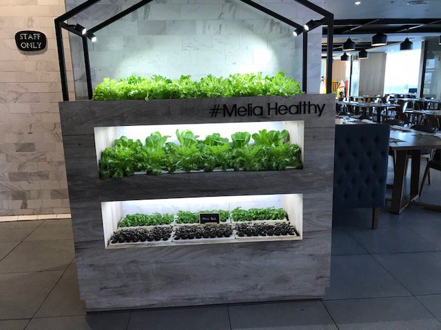 Melia Yangon-餐饮