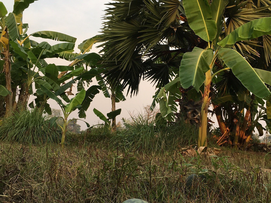 Chanhthida Guesthouse主图