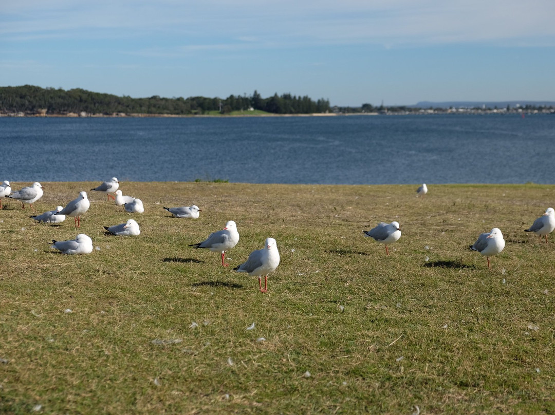 La Perouse Bay-La Perouse必去景点