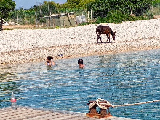Garbin Boats-斯普利特必去景点