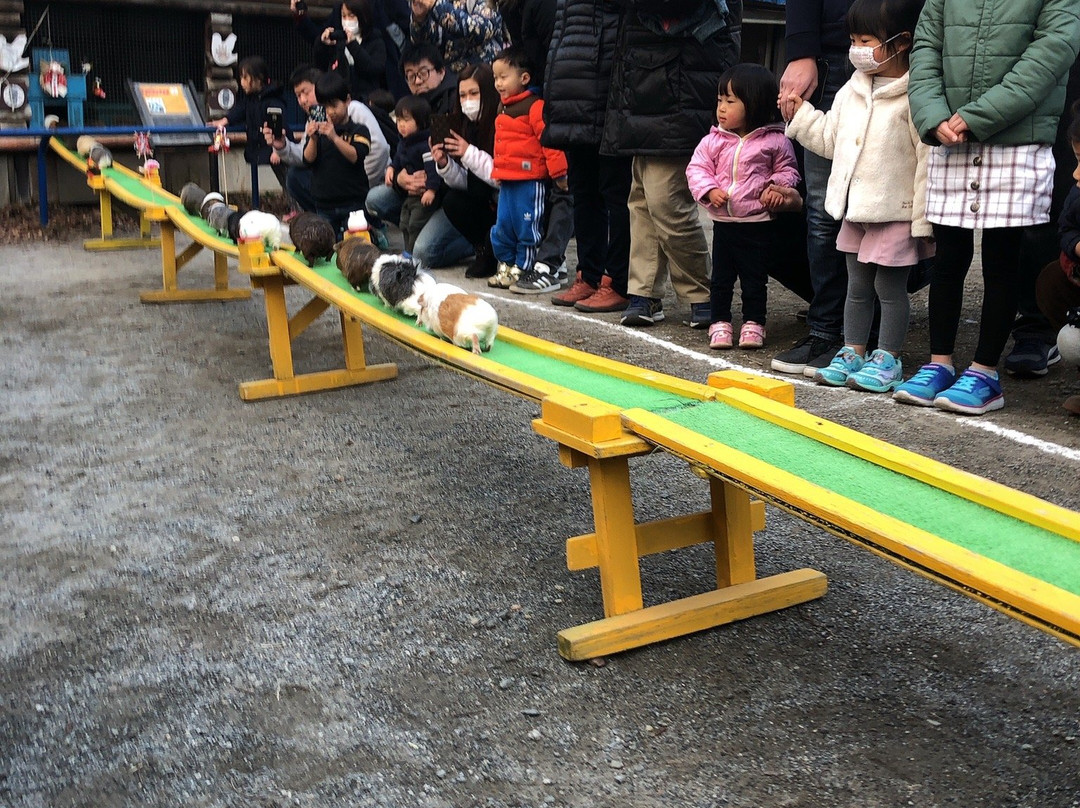 Chikozan Park Zoo-狭山市必去景点