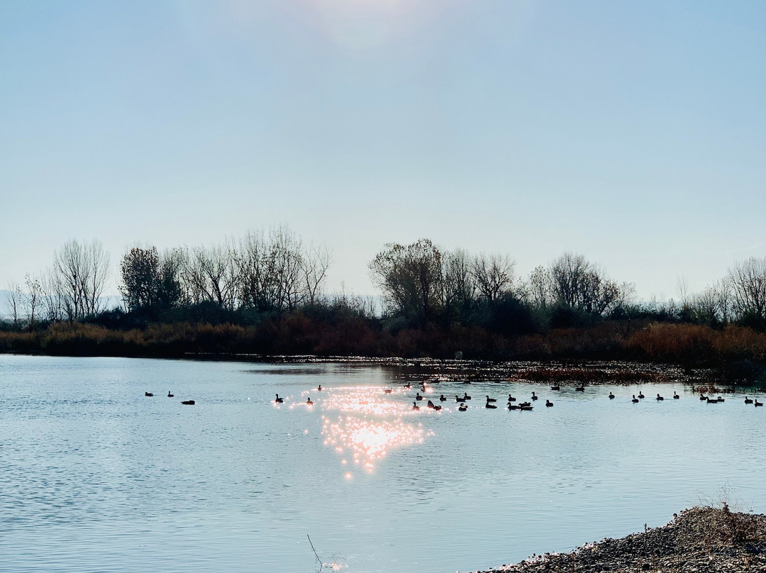 Deer Flat National Wildlife Refuge景点图片
