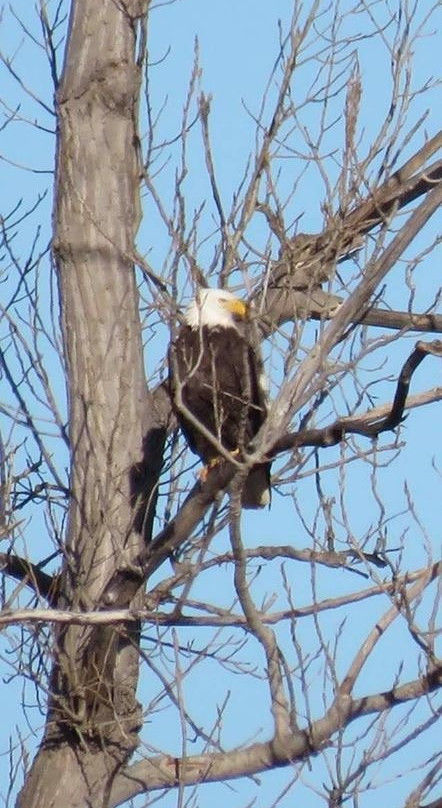 Sequoyah National Wildlife Refuge-Vian必去景点