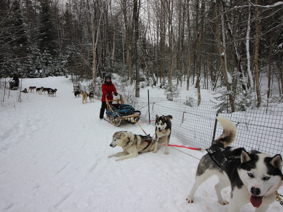 Expedition Wolf-Riviere-Rouge必去景点