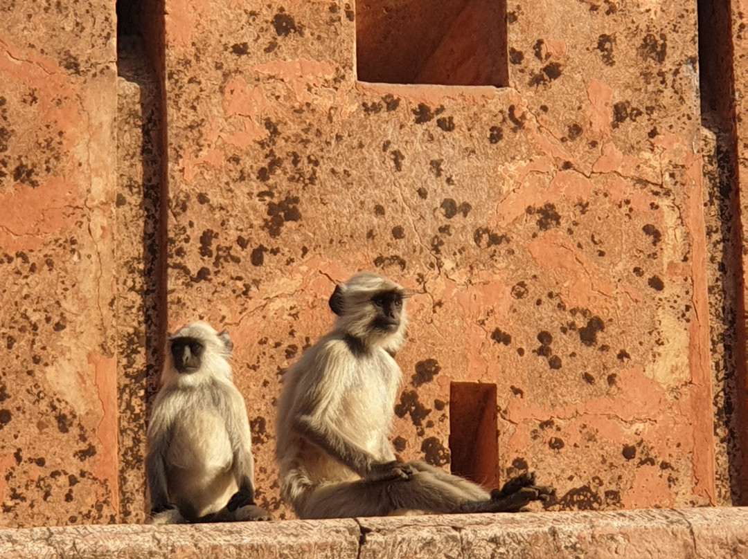 Taj Golden Tours-阿格拉必去景点