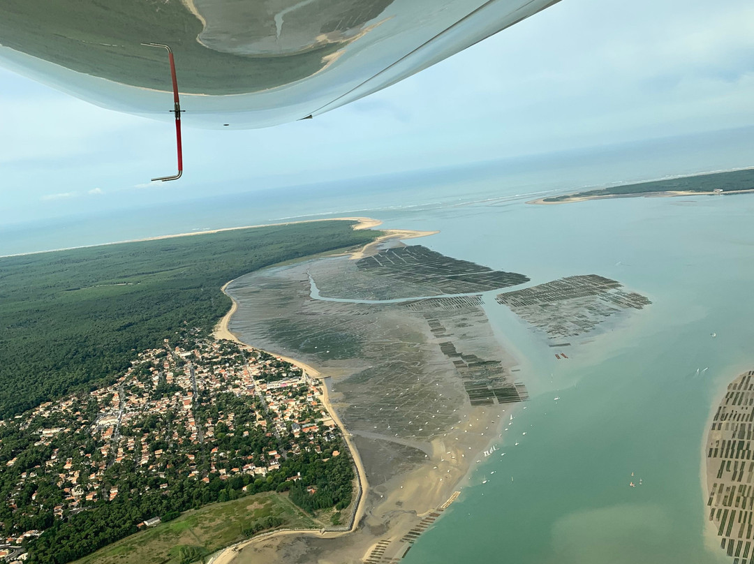 Royan Aircraft景点图片