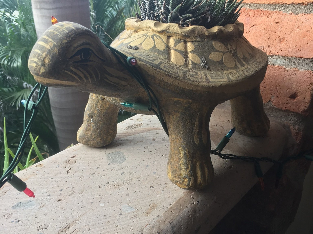 Casa Tortuga Litibu主图