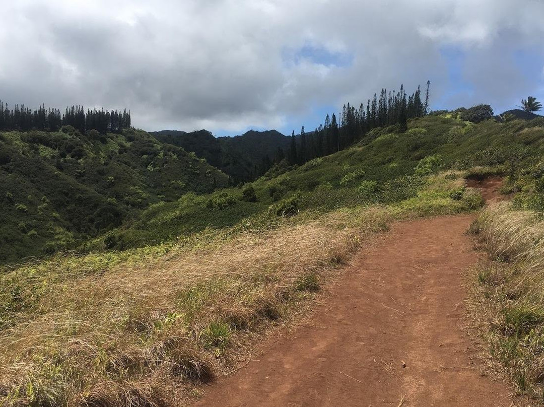 Stairway To Heaven Hawaii-火奴鲁鲁必去景点