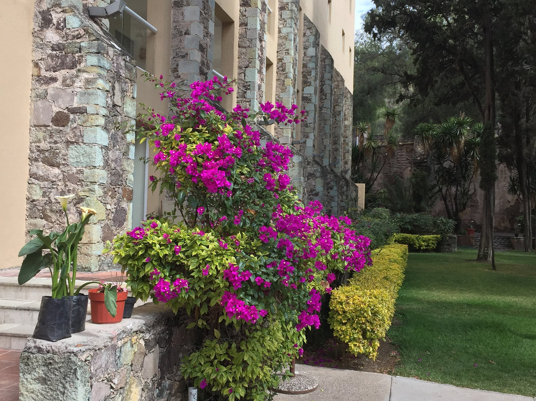 Ex Hacienda San Xavier主图