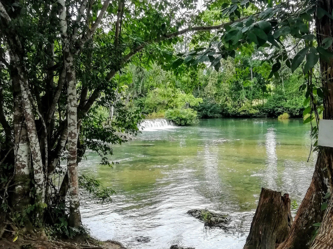 Welib Ja Waterfalls-帕伦克必去景点