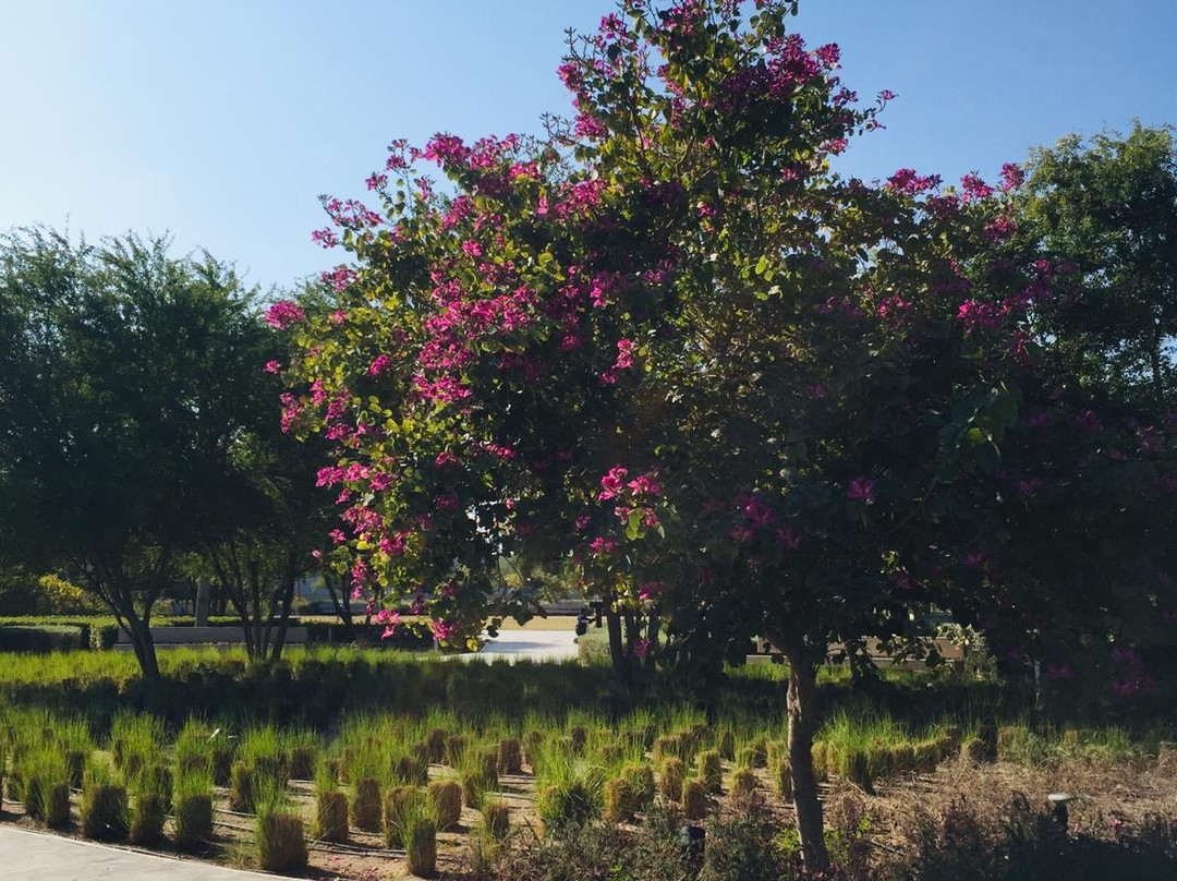 Sheikh Jaber Al Ahmad Cultural Center-Kuwait City必去景点