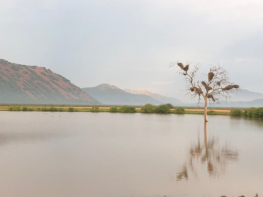 Madikwe Nature Reserve-Zeerust必去景点