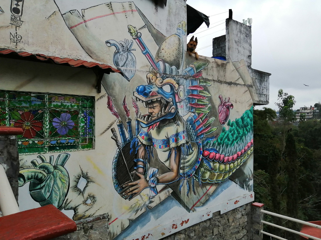 La Xochipila-Xicotepec必去景点