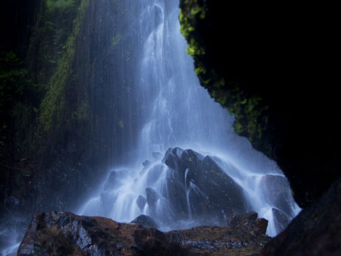 null-Udzungwa Mountains National Park