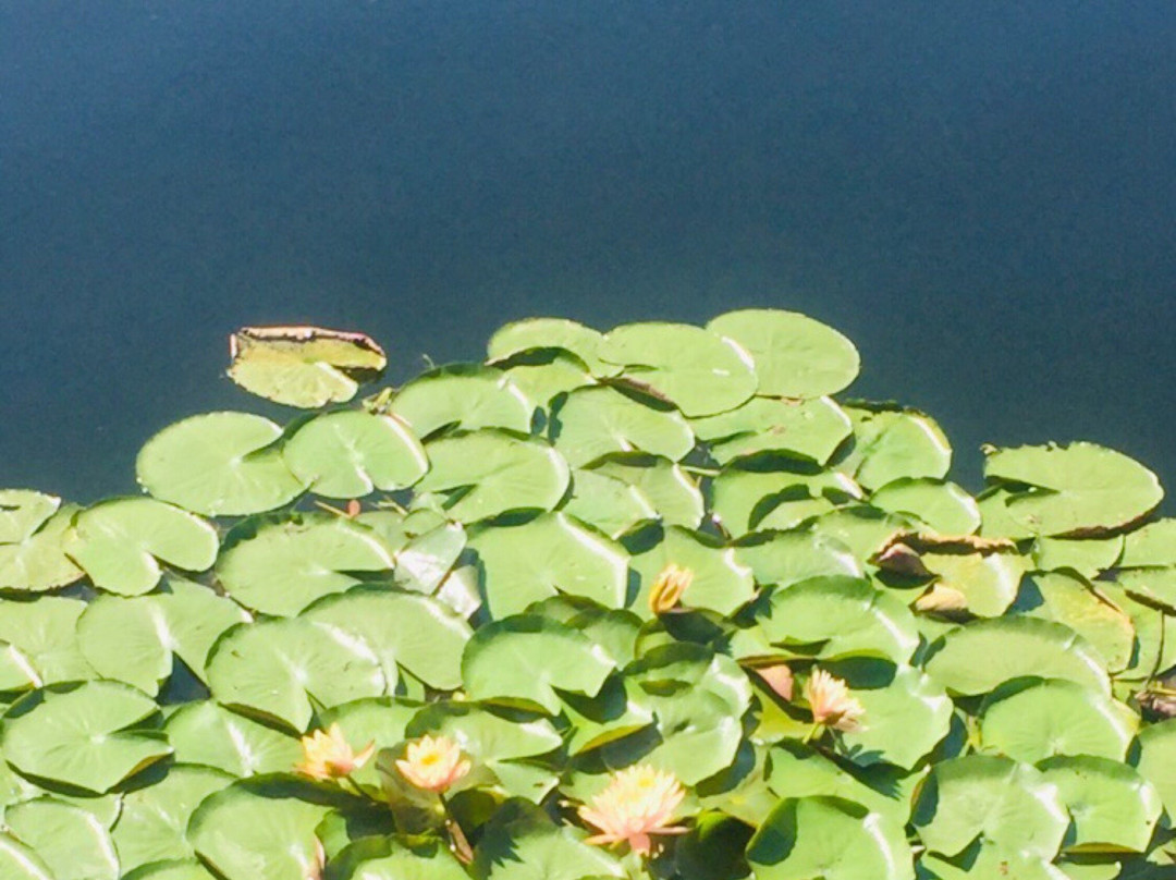 Sky Lake Inle Resort主图
