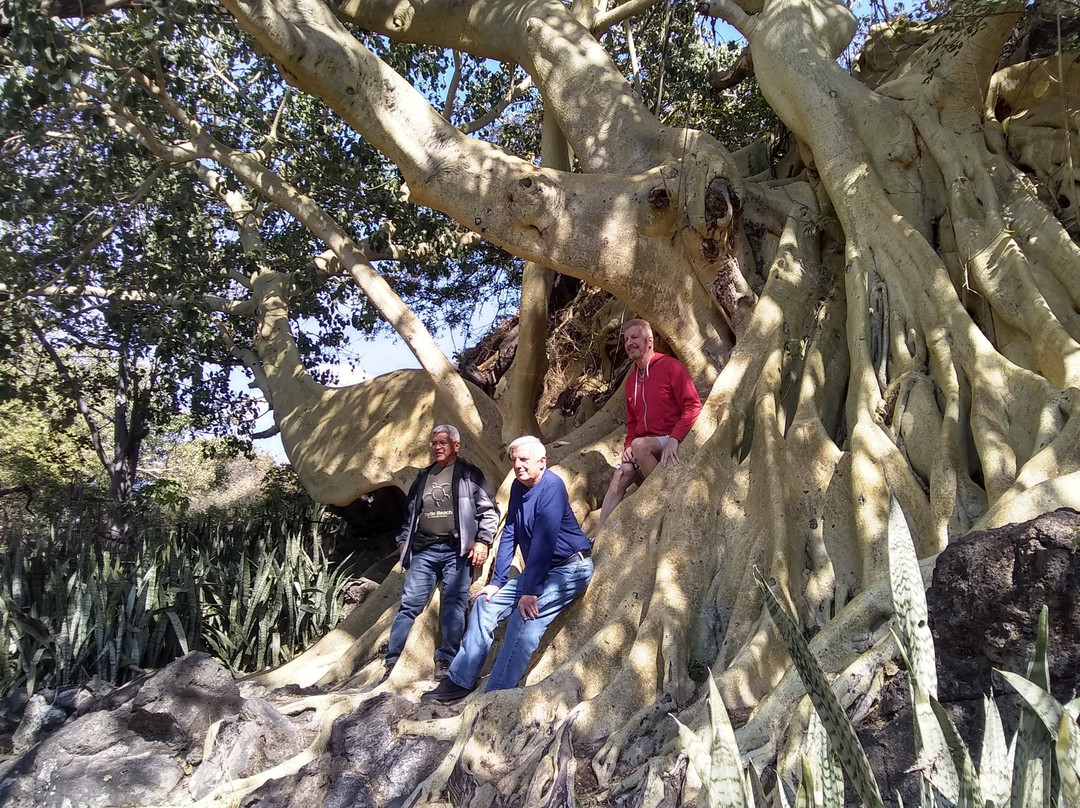 Mezcala Island-瓜达拉哈拉必去景点