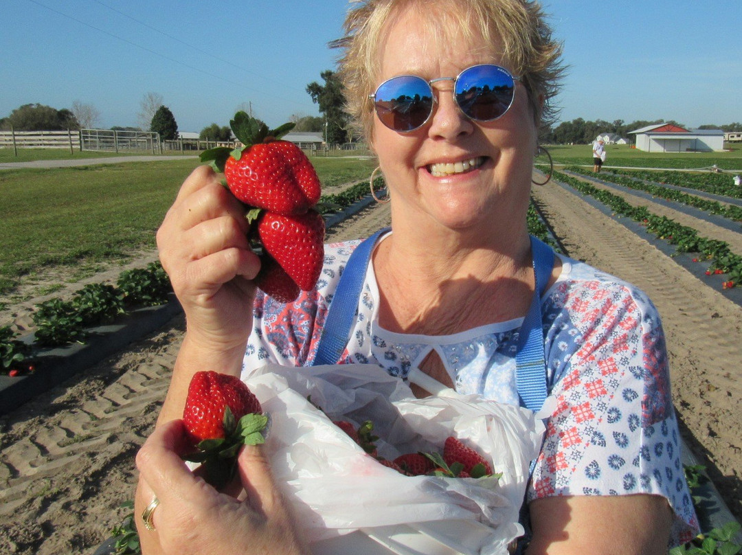 Back Road Berries-Oxford必去景点
