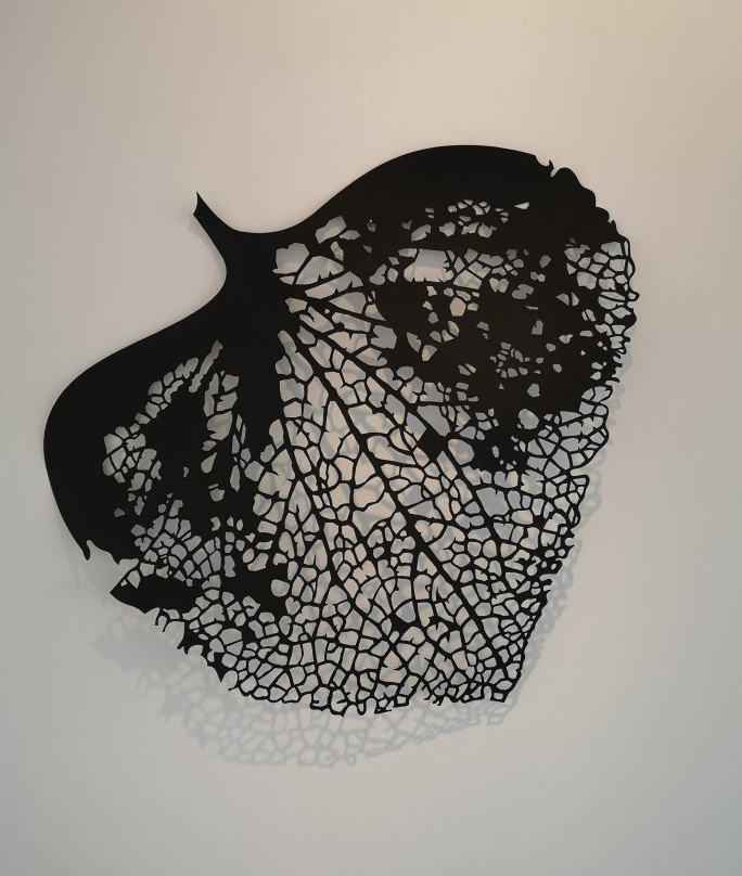 TOI Gallery-奥克兰必去景点