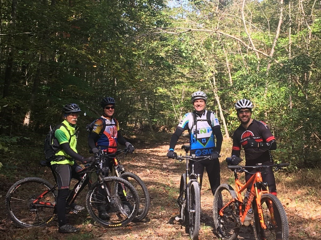 Hoosier National Forest-Bedford必去景点