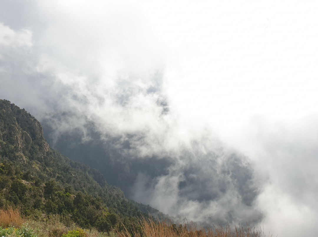 Asir National Park-Abha必去景点