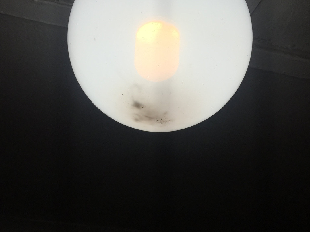 The Spotted Grunter Resort主图